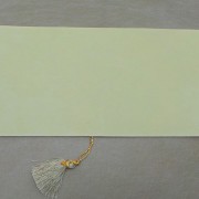 Envelope Blank Side