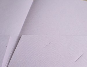 Inside Folder